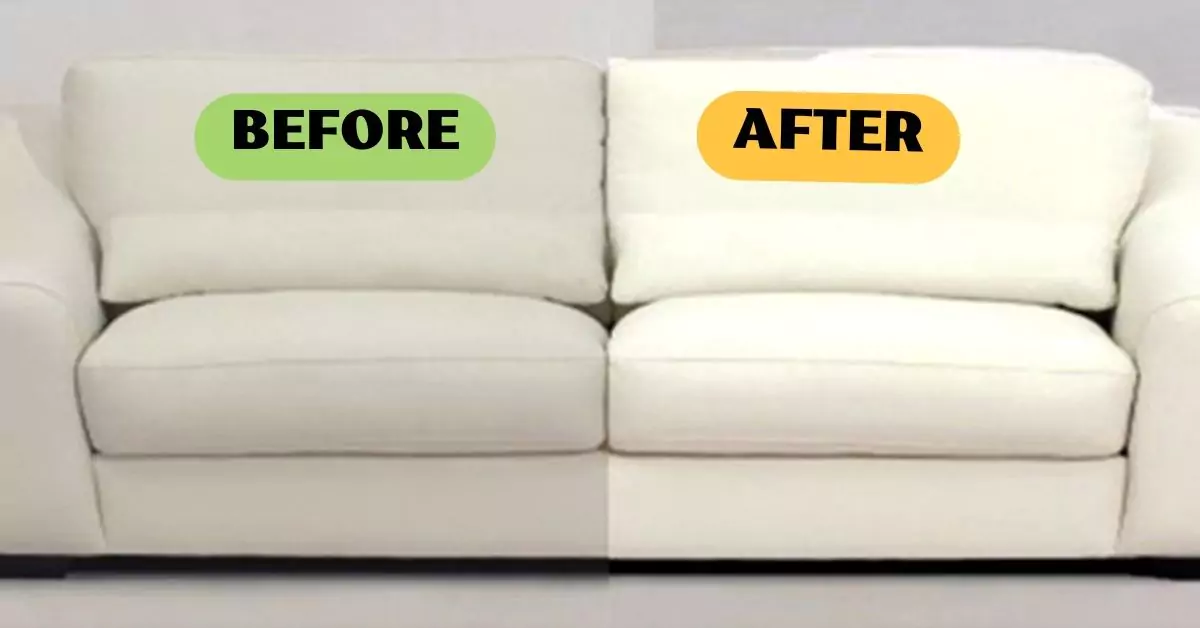 Couch Cleaning Service Brisbane