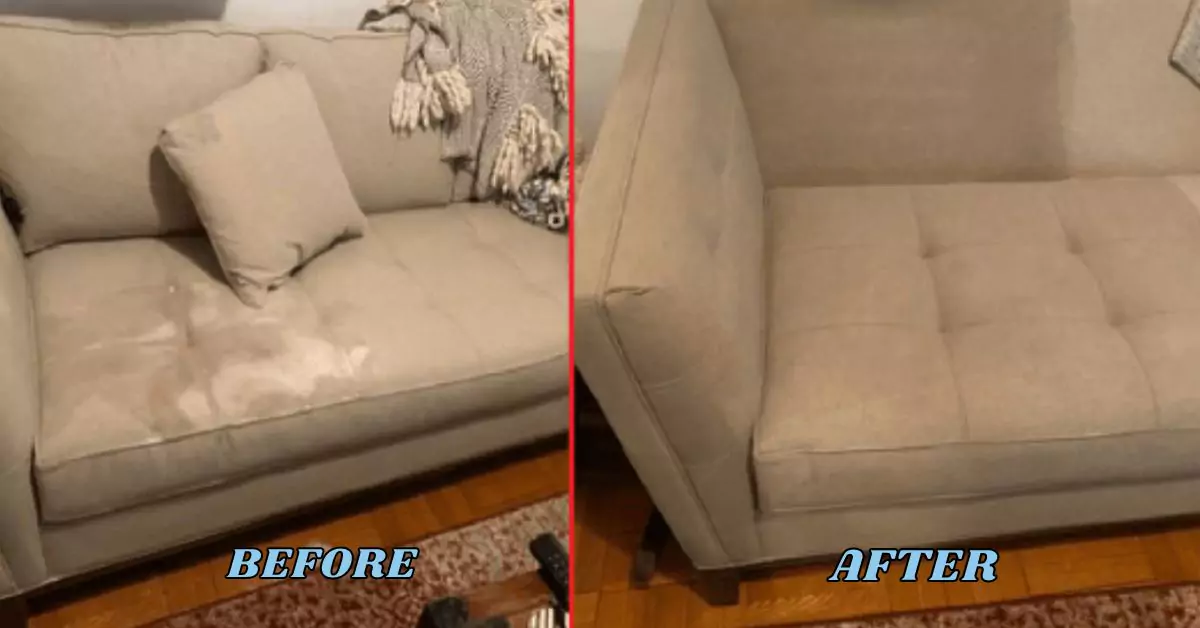 Couch Cleaning Brisbane