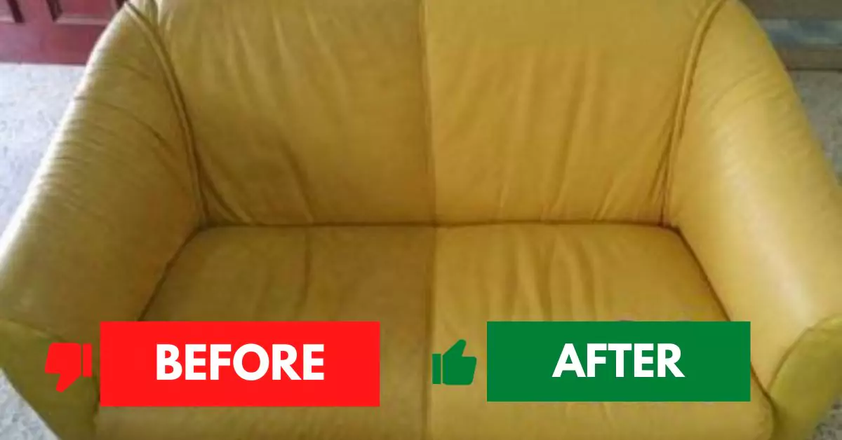 Before and After Couch Cleaning Sydney