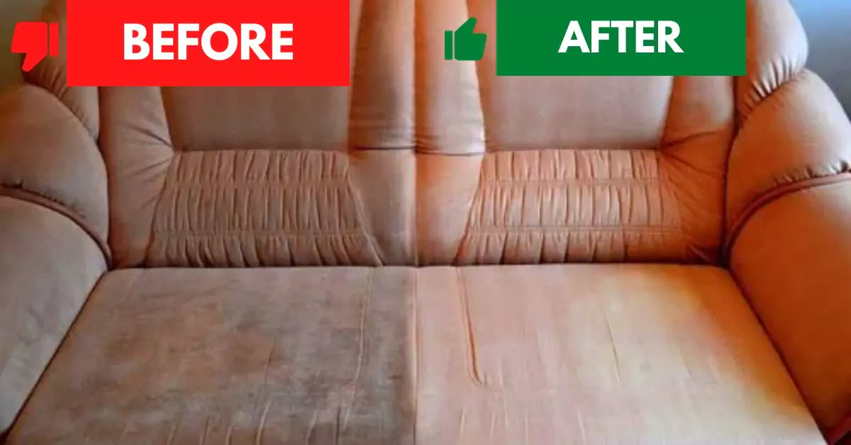 Sydney Couch Cleaning Before and After