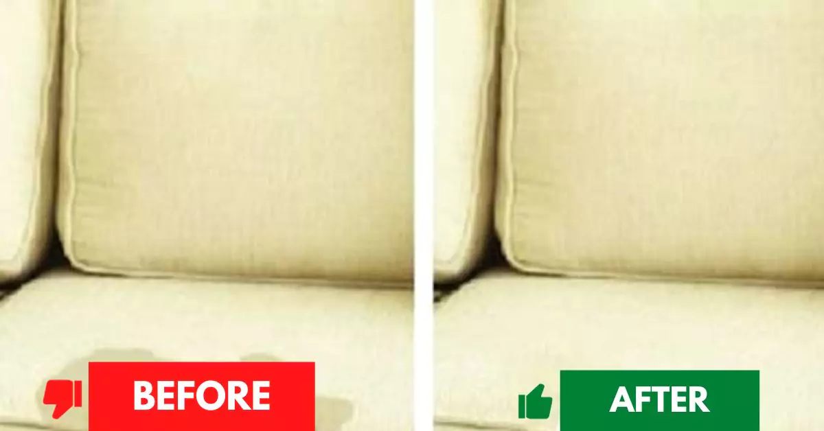 Before and After Couch Cleaning Services Sydney