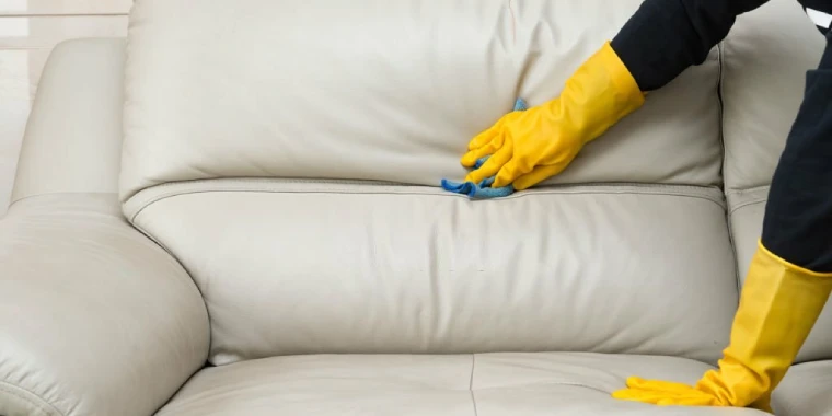 Pacific Pines Couch Cleaning Service