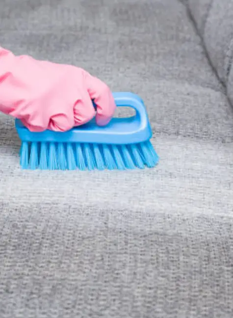 Fabric Couch Cleaning