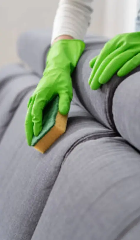 Fabric Couch Cleaning